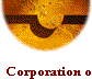   Corporation or LLC 
